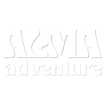 alma_logo_white