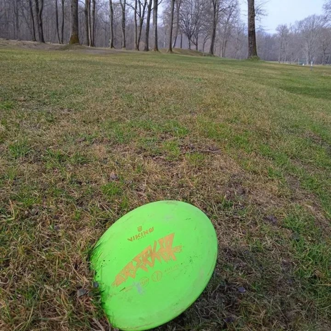 81