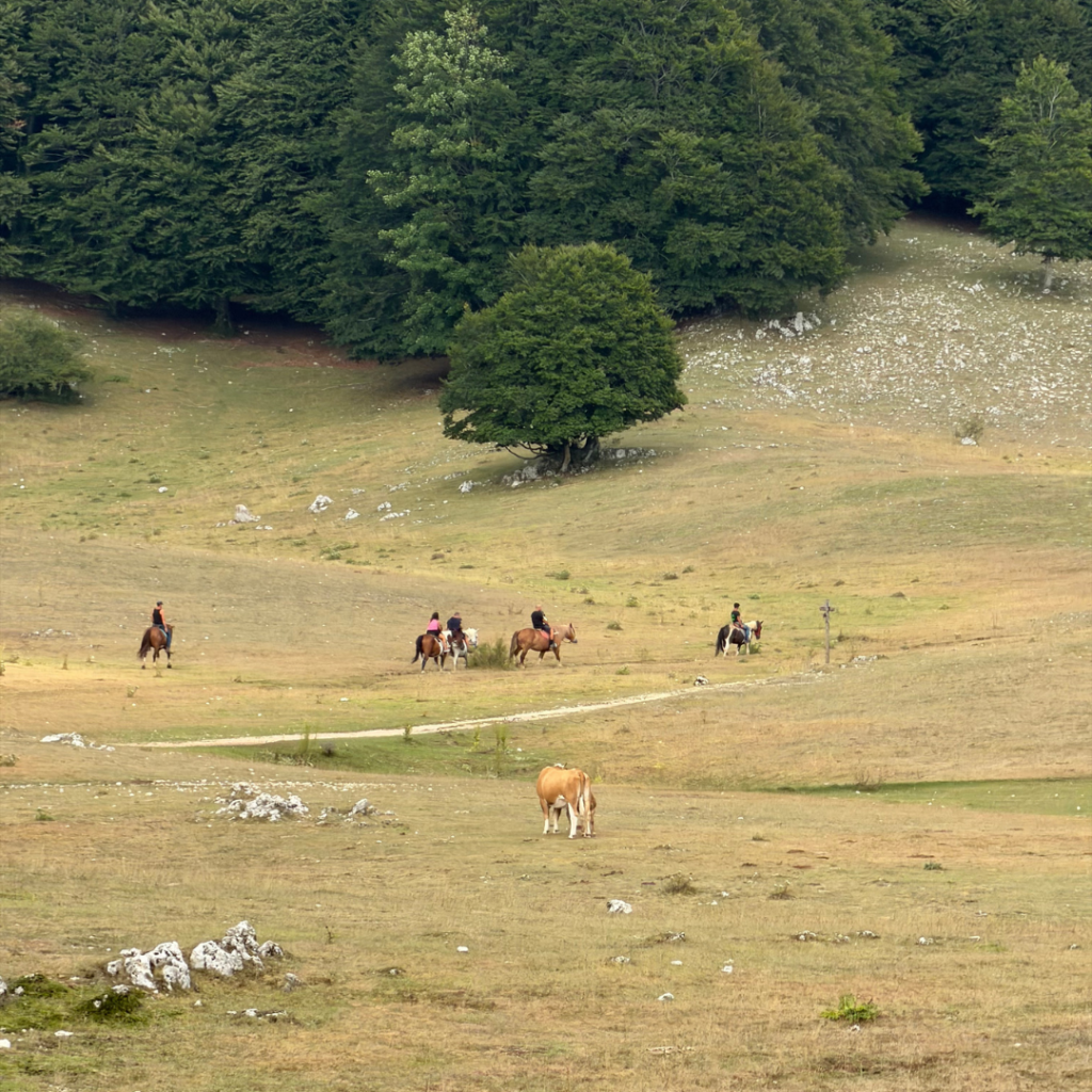 Campaegli_Passeggiate a cavallo