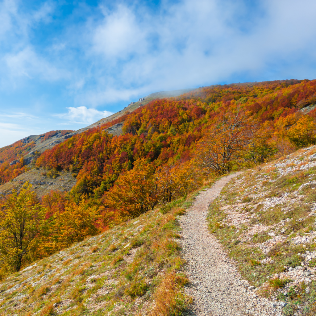 Trekking_Campaegli_Monte_Livata