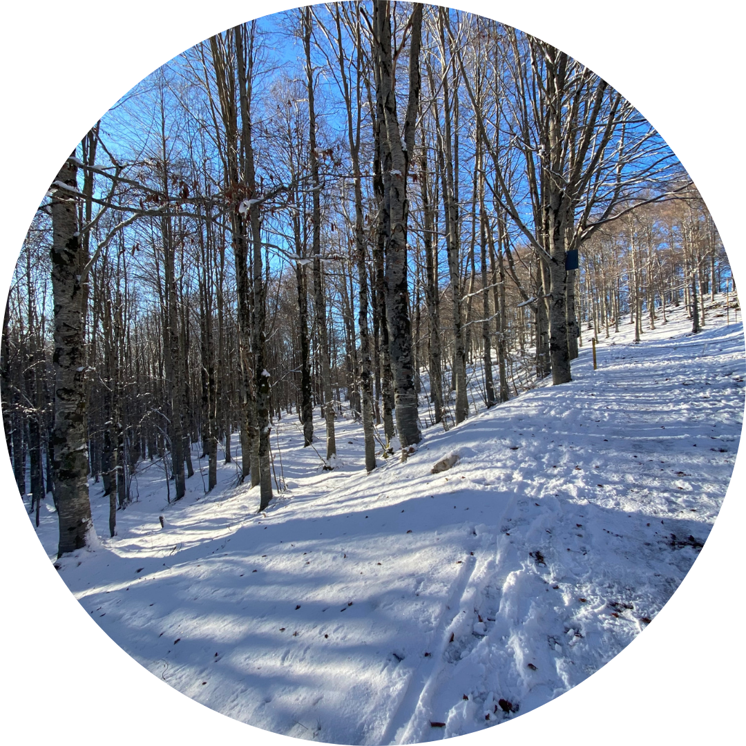 Paesaggio innevato a Campaegli