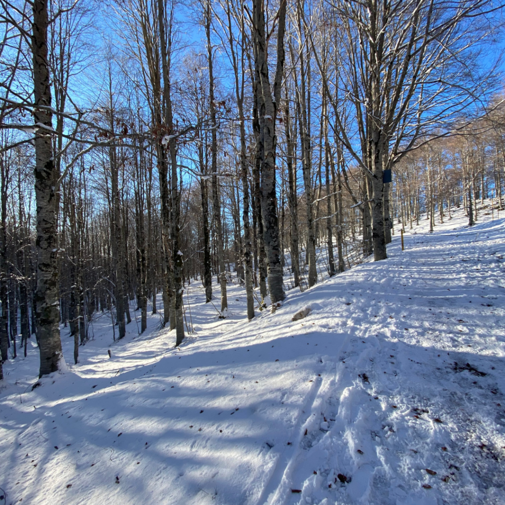Stagione invernale a Campaegli